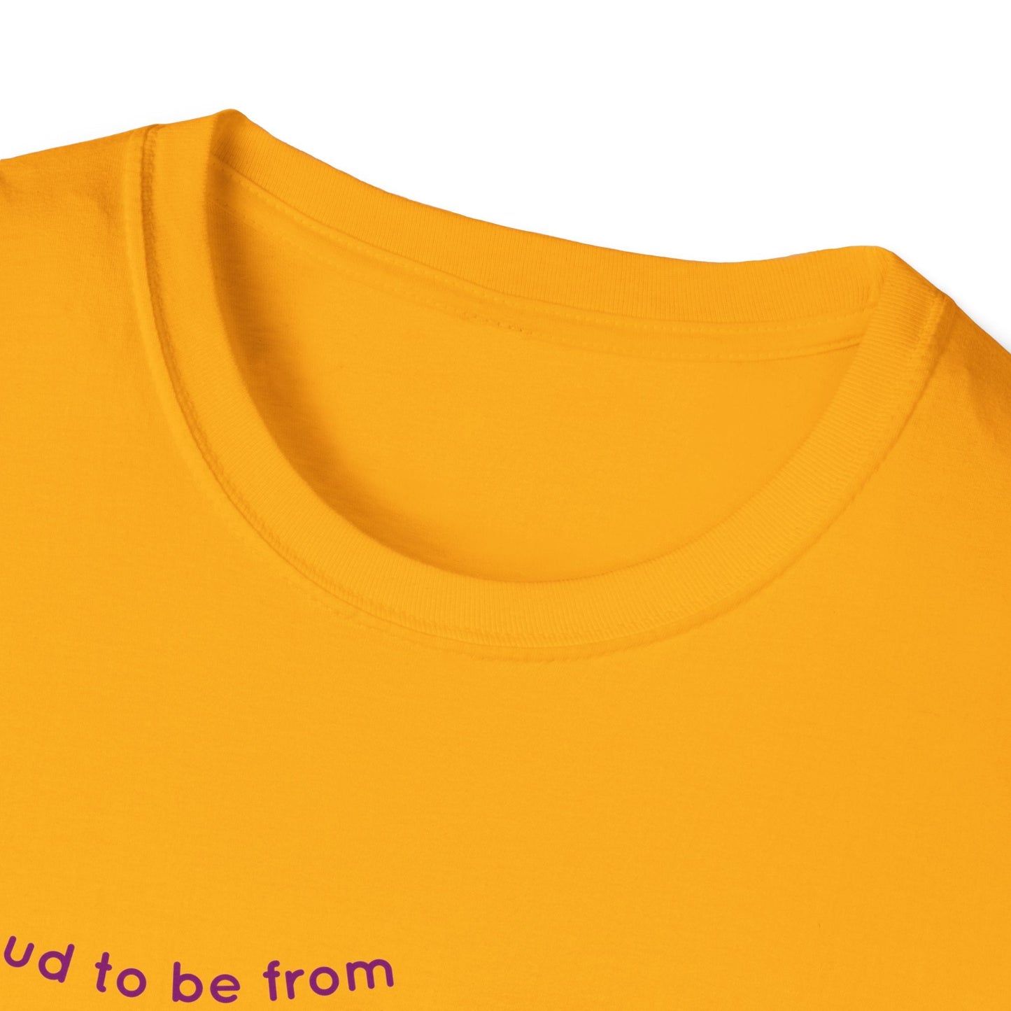 T-Shirt - Flyover Country Unisex Softstyle T-Shirt